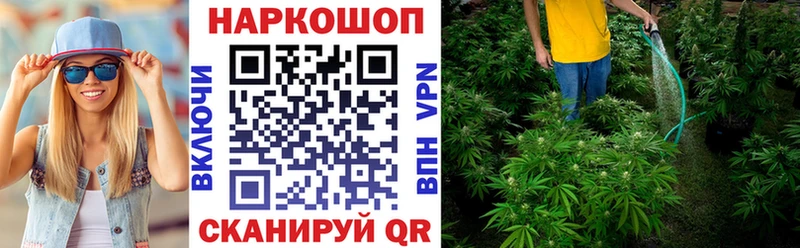 Наркотические вещества Гатчина Кетамин Меф KRAKEN как войти Кокаин Марихуана