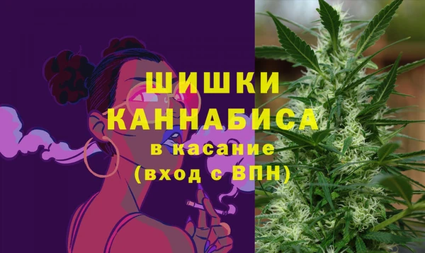 эйфоретик Белокуриха