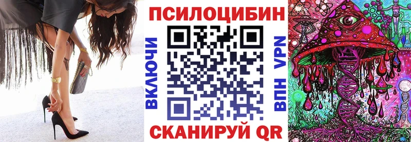 Галлюциногенные грибы Cubensis  Гатчина 